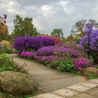 Garten :: Андрей Бойко