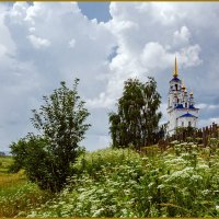 Июльский зной, перед ливнем. :: Сергей l