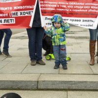 Северодвинск. Митинг в защиту животных (5) :: Владимир Шибинский