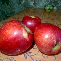 Яблоки на столе. :: Чария Зоя 