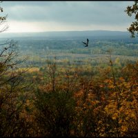 Осенние зарисовки :: Алексей Патлах