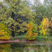 Осень в Ботаническом саду. :: Николай Кондаков