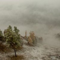 Закружила осень в зиму :: Сергей Герасимов