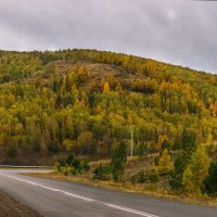 осенний лес :: Екатерина Агаркова