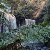 Водопад Расселл (Russell Falls) :: Tatiana Belyatskaya