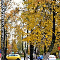 Осень в городе. :: Михаил Столяров