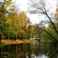 Осень в парке :: Наталия Короткова