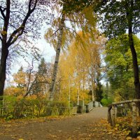 Осень в парке. :: Алексей Цветков