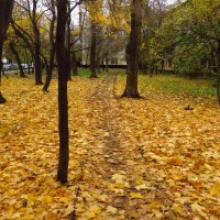 Осень не первоначальная :: Андрей Лукьянов