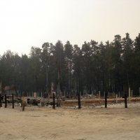 Природные пожарища Рязанщины в августе 2010 года :: Николай Варламов