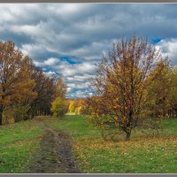 Осень :: Владимир Белов