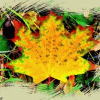 Осенний лист :: Нина Бутко