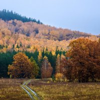 Краски осени... :: Влад Никишин