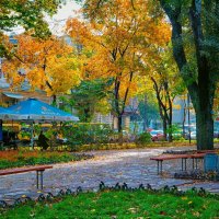 Осень в Одессе. :: Вахтанг Хантадзе