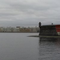 Вид на набередную Невы с Петропавловской крепости. :: Светлана Калмыкова