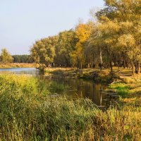 Осень на реке. :: Валентина Домашкина