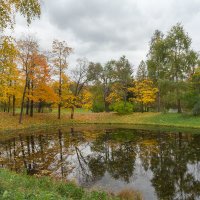 Осень :: Сергей Залаутдинов