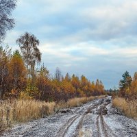 Октябрьская зарисовка. :: Юрий Шувалов