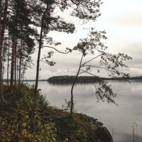 Страна Suomi. Озеро Сайма. :: Лариса (Phinikia) Двойникова