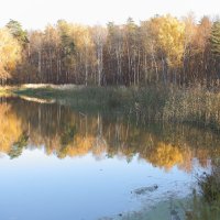 Золотая осень :: Николай Холопов