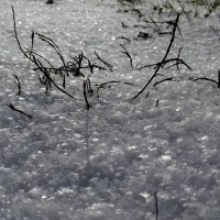 Блестит на солнышке снежок . :: Мила Бовкун