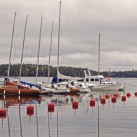 Страна Suomi. Озеро Сайма. :: Лариса (Phinikia) Двойникова