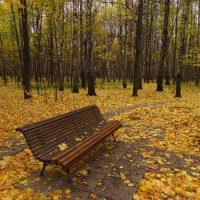 Зрелая осень :: Андрей Лукьянов