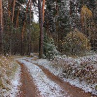 Придорожной тайной увяданий... :: Лесо-Вед (Баранов)