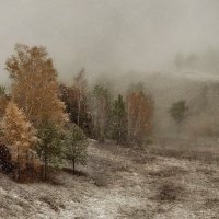 С зимою осень повстречалась. :: Марина Фомина.