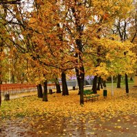 "В мокром саду осень забыла..." :: Андрей K.
