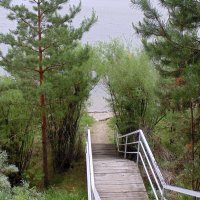 Были у водоёма в июне , а он был холодным . :: Мила Бовкун