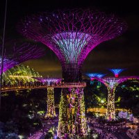 ночной Сингапур :: Олеся Семенова