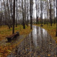 Осень очень по-настоящему :: Андрей Лукьянов