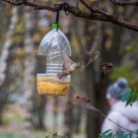 "Полундра!" :: Владимир Безбородов