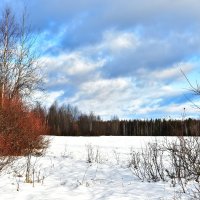 Первый снег! :: Илья Магасумов