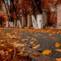 Осень :: Виталий Павлов