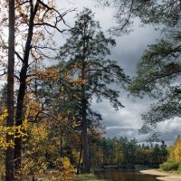 А впереди бесцветье и безлюдье...Река Пра.Мещера. :: Лесо-Вед (Баранов)