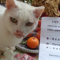 Юбилей оранжевой, пардон, Октябрьской революции!... :: Алекс Аро Аро