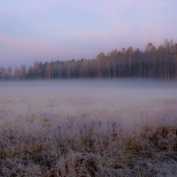 Туман :: Андрей Кузнецов