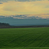 На закате :: Петр Заровнев