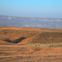 Пастбищные луга Учкекена :: Леонид Сергиенко