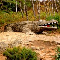 Крокодил из Долины роз :: Нина Бутко