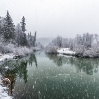 Снег :: Сергей Добрыднев