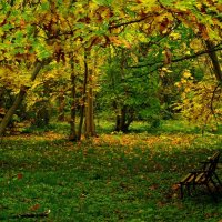 Осень в Ботаническом саду :: Сергей Карачин