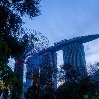 Singapore :: Олеся Семенова