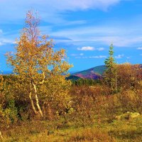 Осень в горах :: Сергей Чиняев 