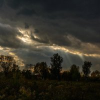 Кажется, будет дождь... :: Александр Шацких