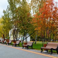 Осень в парке. :: Александр Рябуха