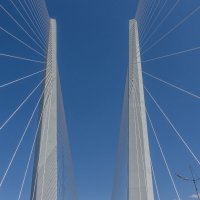 Вантовый "Золотой мост" во Владивостоке :: Сергей Коваленко