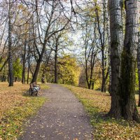 *** :: Владимир Безбородов